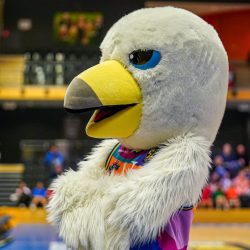 ZWOLLE, NETHERLANDS - OCTOBER 30: Mascotte during the BNXT League game between Landstede Hammers and ZZ Leiden at the Landstede Sportcentrum on October 30, 2022 in Zwolle, Netherlands (Photo by Jeroen Meuwsen/Orange Pictures)